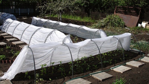 Парник-міні Дачний 4 м