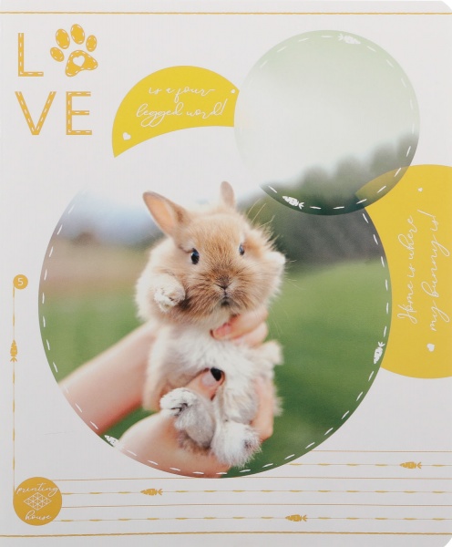 Тетрадь школьная Tadward 12 листов клетка