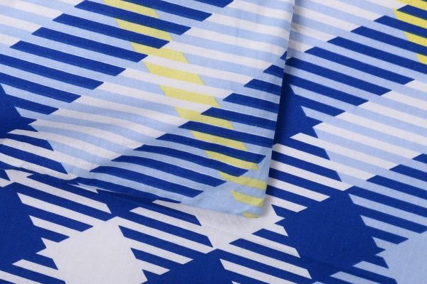 Комплект постільної білизни Клітинка 1,5 блакитний Rigel 