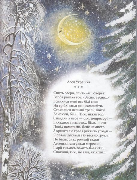 Книга «Книга. Новорічна книга»