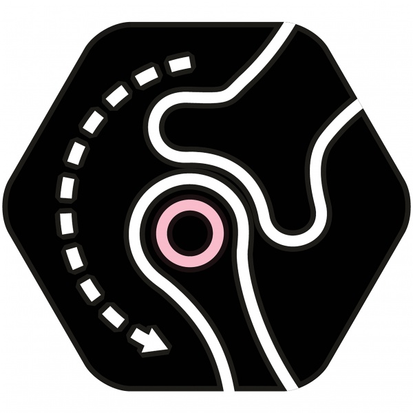 Корм сухий для малих порід Pro Plan Puppy з лососем 3 кг