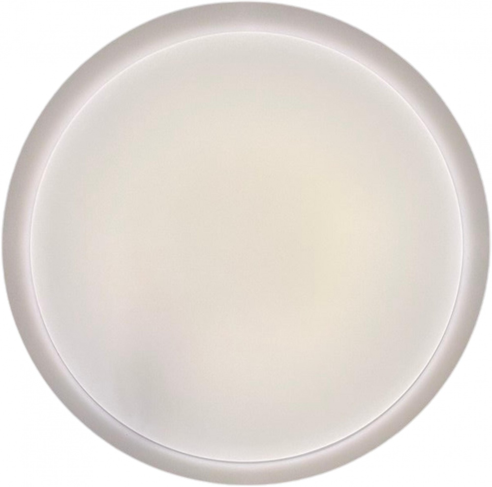 Світильник стельовий Sensio LED Isa 48 Вт білий 3000-6500 К AR-N250301394