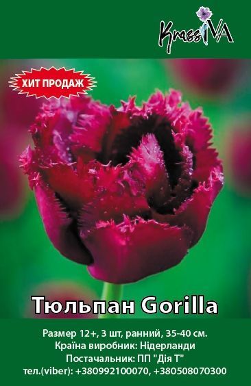 Луковица Тюльпан Gorilla 3 шт. 