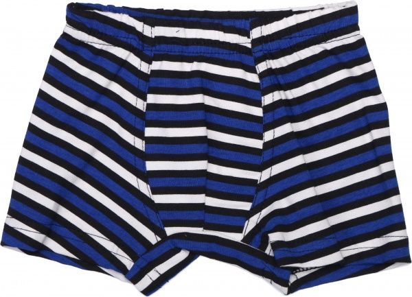 Трусы для мальчика Моя планета Тх100 р.122 белый с синим 