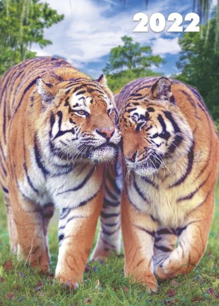 Календарь Діана Плюс Світовид А3 Рік тигра (2 види) 2022