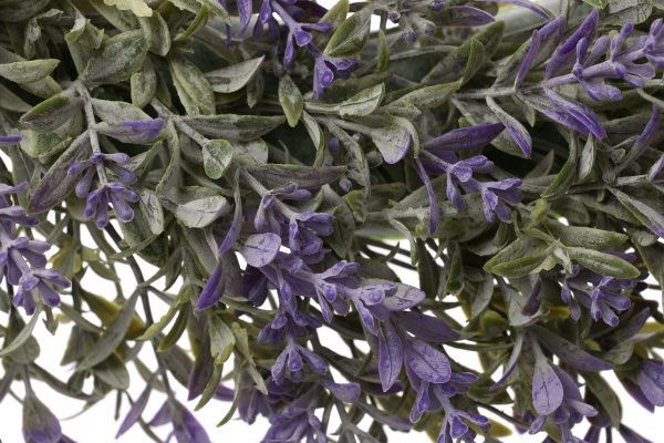 Вінок Кампсис укорінливий 40 см HONGYE Q100-0171