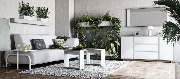 Стіл журнальний Concept дуб крафт сірий/німфея альба 1000x520x450мм Грейд 