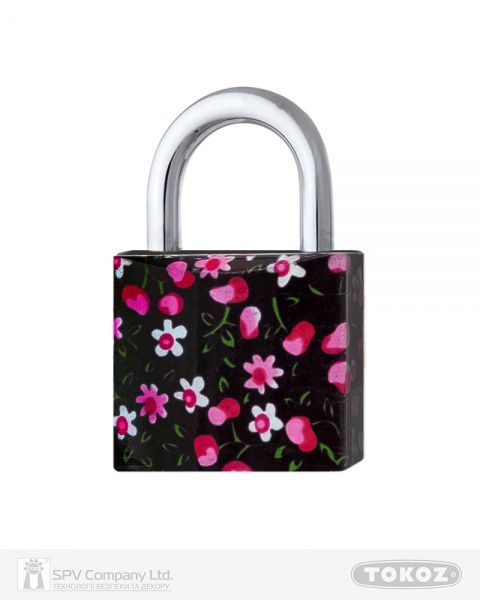 Замок навісний TOKOZ Cherry 40 Tk1 M відкритий (амбарний)