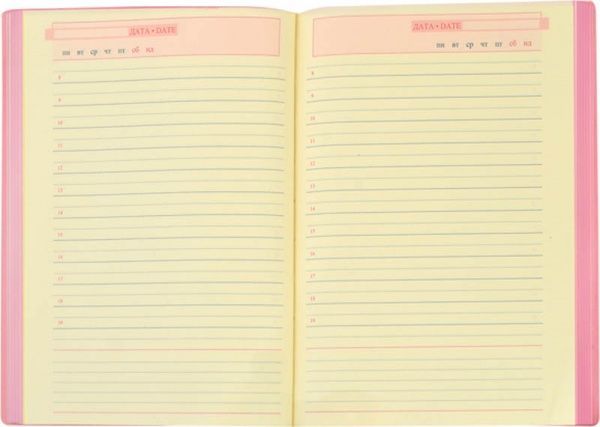 Дневник Ventura А6 251980 YES