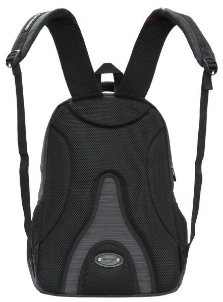 Ранец школьный Safari 2 отделения 21-193L