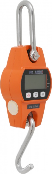Весы крановые ЗЕВС ВК I 300 кг 