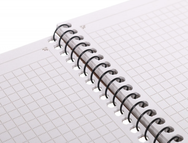 Тетрадь школьная Спираль A5 60 листов в клеточку