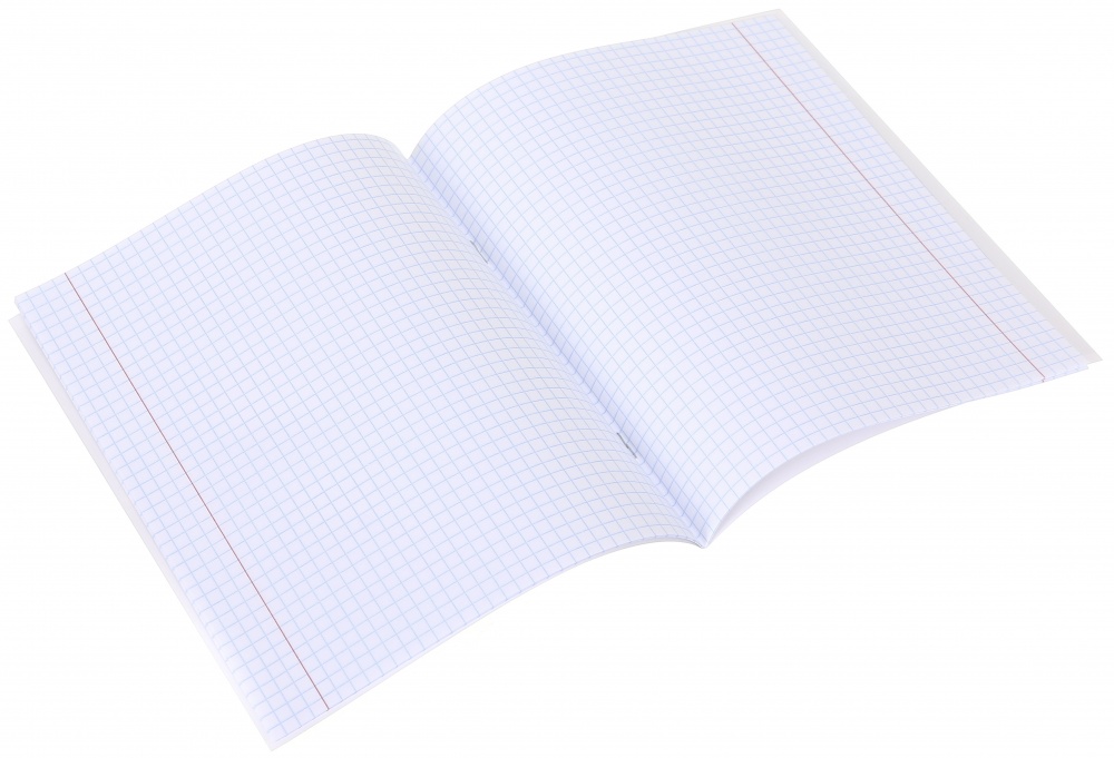 Тетрадь школьная Capybara1_25 12 листов в клеточку Nota Bene