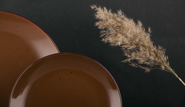 Тарілка підставна Шоколад 270 мм Vittora