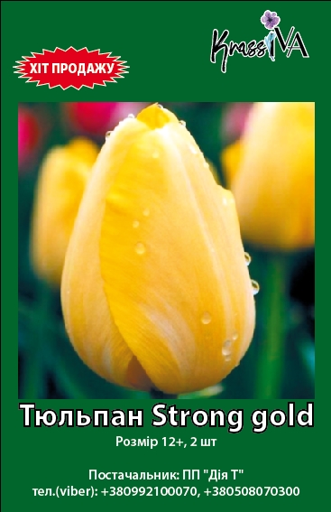 Луковица KrassIVA тюльпан Strong Gold 2 шт. 