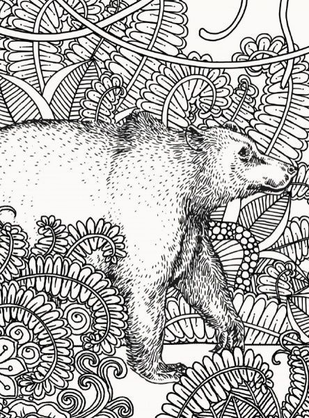 Книга-раскраска Редьярд Киплинг «Книга джунглей» 978-617-09-4083-4