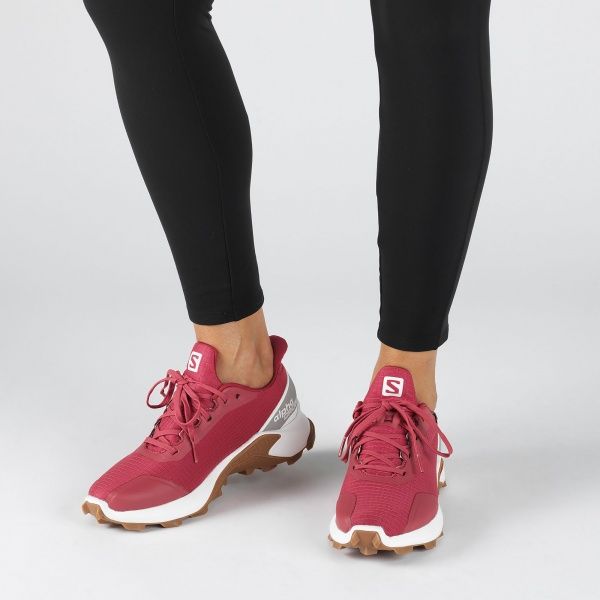 Кроссовки Salomon ALPHACROSS L40805700 р.UK 6,5 розовый