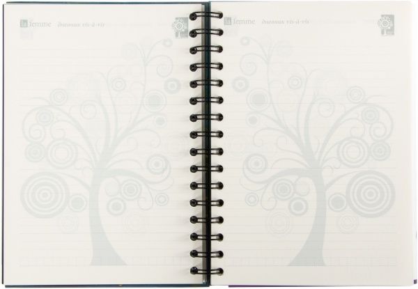 Щоденник  Vis-a-vis