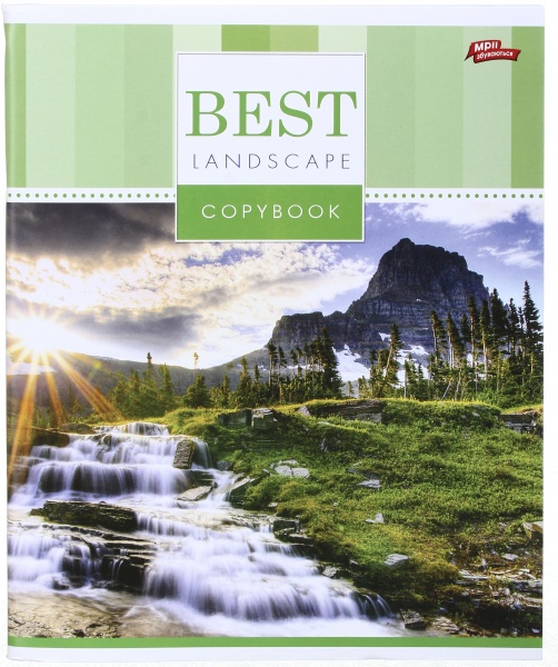 Тетрадь школьная 96 листов в клеточку в ассортименте Мечты сбываются