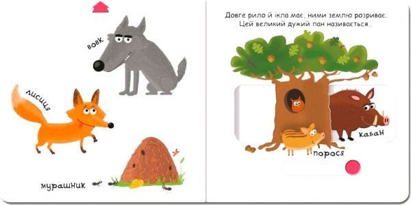 Книга Виталий Федиенко «Тварини в лісі» 978-966-429-348-5