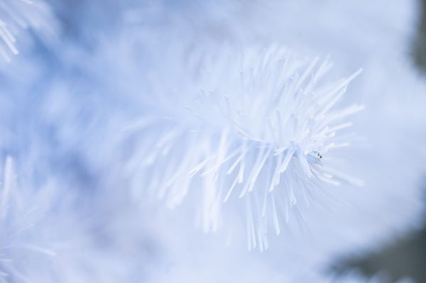 Гирлянда декоративная Маг-2000 белая 24/270 2,7 м