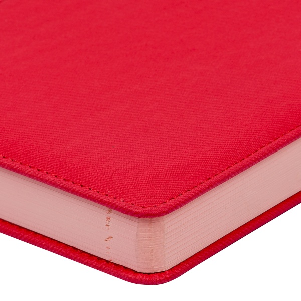 Дневник датированный красный/розовый Leo Planner City A5 2022