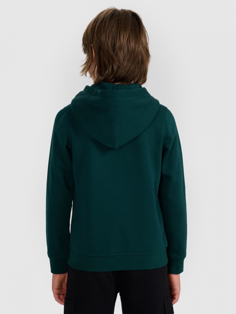 Джемпер 4F SWEATSHIRT M1959 4FJWAW25TSWSM1959-46S р.140 зелений