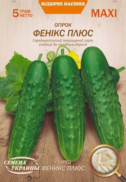 Семена Семена Украины огурец Феникс Плюс 5г