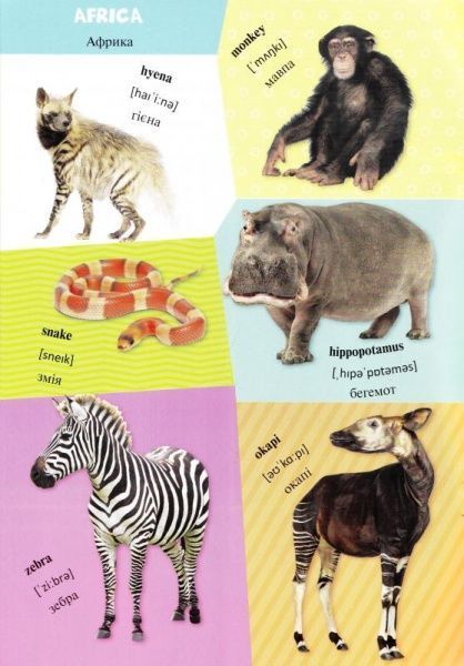 Книга «Животные» 978-617-690-197-6