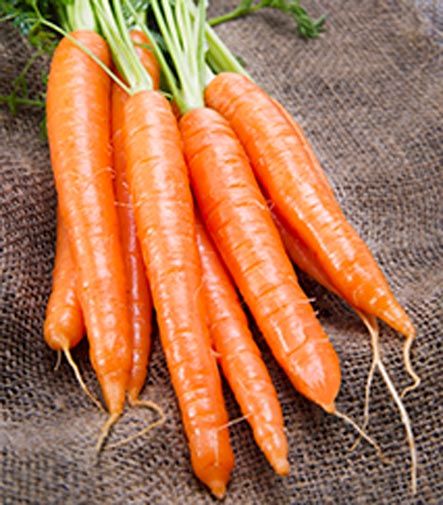 Семена Садовий Світ морковь Королева осени 2г