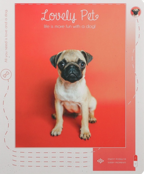 Тетрадь школьная Tadward 12 листов клетка