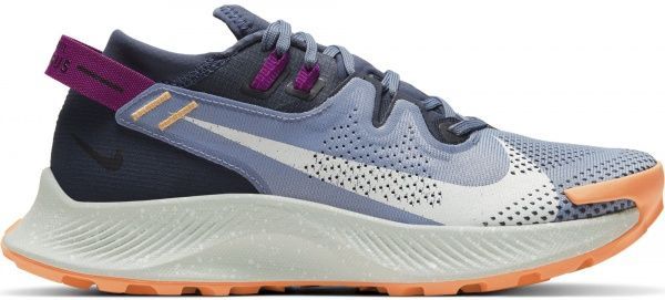 Кроссовки Nike Nike Pegasus Trail 2 CK4309-401 р.US 9 голубой