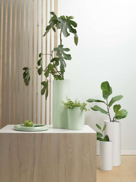 Ваза для квітів Terra spice green blush 27,5x13,6 см ASA