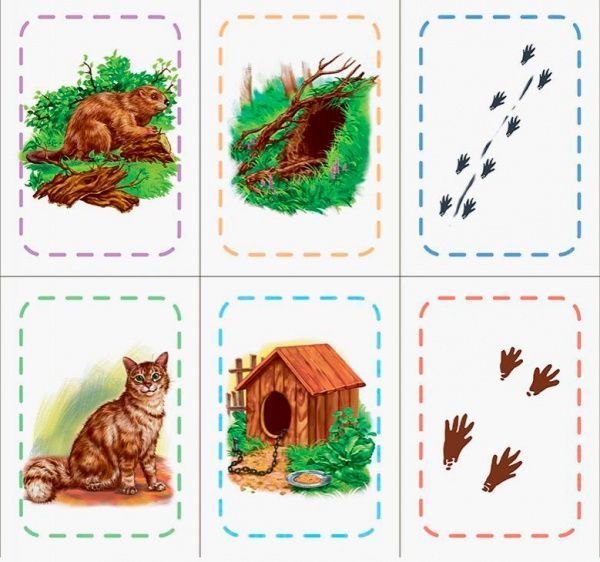 Книга «Книга. Знайди та збери : Хто де живе? (у)»