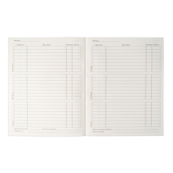 Дневник школьный Player иридиум 911231 YES