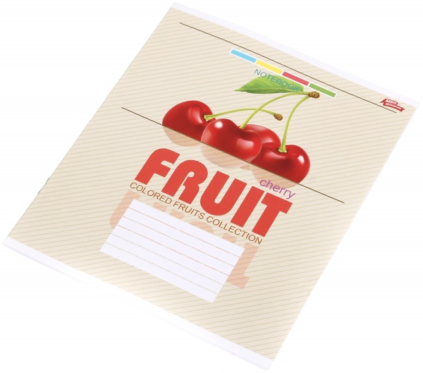 Тетрадь школьная 24 листа в линейку в ассортименте Мечты сбываются