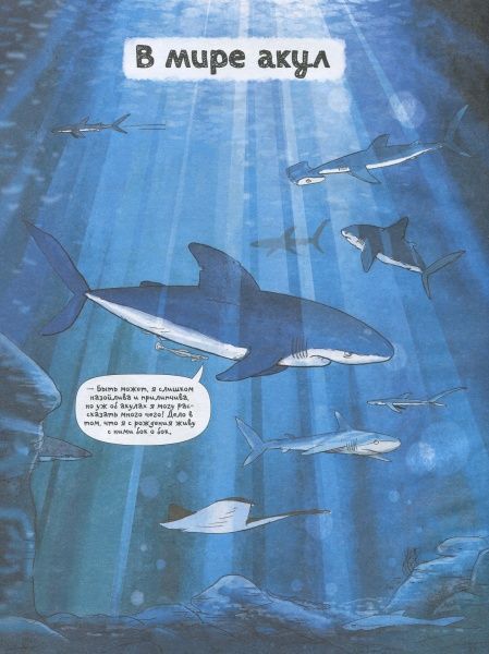 Книга «Книга Акули.Про що говорять тварини.»
