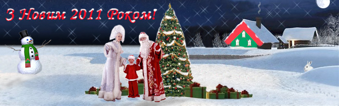 Новый год 2011
