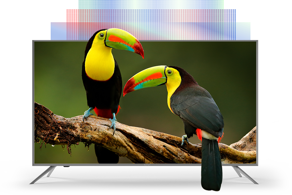 31260361_7.png 31260361_7.png