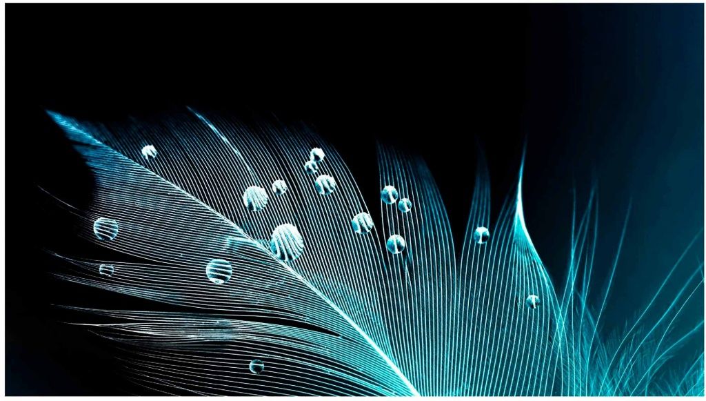 31260404.jpg 31260404.jpg