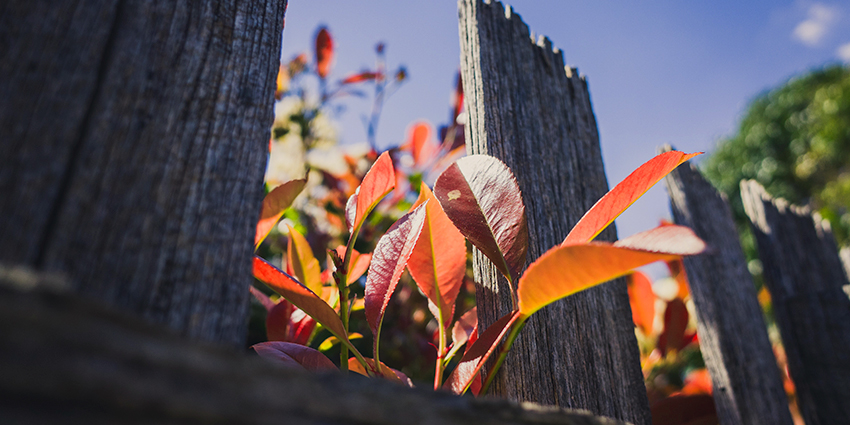 ремонт огорожі