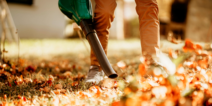 садовий пилосос