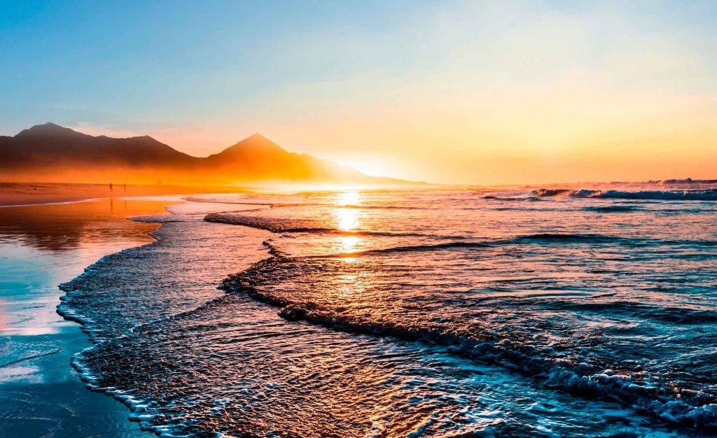 31260404_3.jpg 31260404_3.jpg