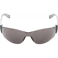 Очки защитные Reis MCR-CHECKLITE SS