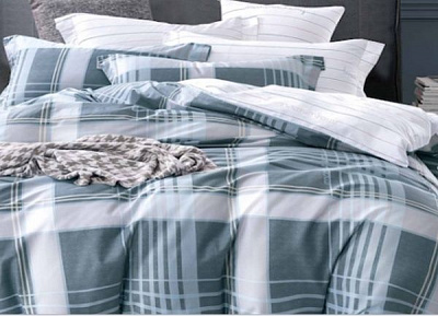 Комплект постільної білизни Blue Check 2,0 синій La Nuit