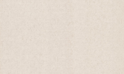 Шпалери вінілові на флізеліновій основі Bravo 81800BR01 1,06x10,05 м