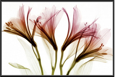 Картина на холсте Дыхание нежности 55x80 см ТЕРРАВОЛ 