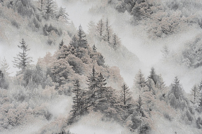 Обои виниловые на флизелиновой основе Славянские обои Elegance collection 1336-01 1,06x10,05 м