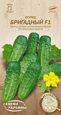 Насіння Семена Украины огірок Бригадний F1 597300 0,5г