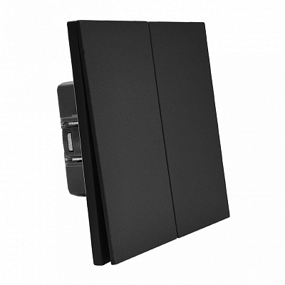 Выключатель двухклавишный HausMark INO без подсветки черный LS-2G-EU-Black